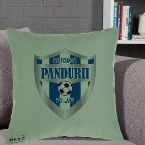 Perna Personalizata Pandurii Targu Jiu Fotbal, 40x40 cm, Verde, Husa Detasabila, Perna Inclusa, BEKZ®