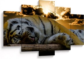 Tablou tigrul dormind (150x105 cm)