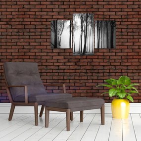 Tablou - Lup în pădurea întunecată (90x60 cm)