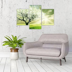 Tablou cu copaci pe luncă (90x60 cm)