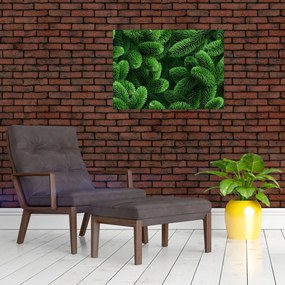 Tablou - Ramuri de conifere (70x50 cm)