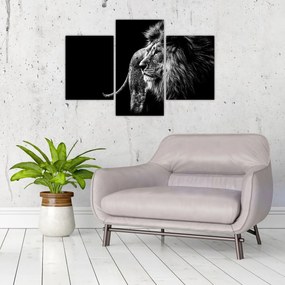 Tablou - Leu (90x60 cm)