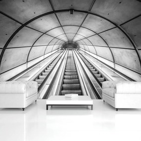 Fototapet - Trepte (254x184 cm)