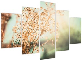 Tablou - Plante de luncă (150x105 cm)