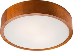 Plafonieră LED/24W/230V