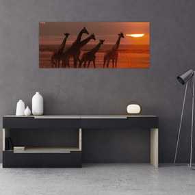 Tablou - Girafe în savana africană (120x50 cm)