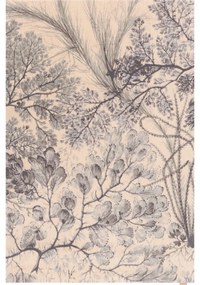 Covor verde mentă/bej din lână 200x300 cm V&amp;A Calisia Kelp – Agnella