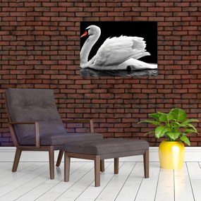 Tablou pe sticlă cu lebăda alb neagră (70x50 cm)