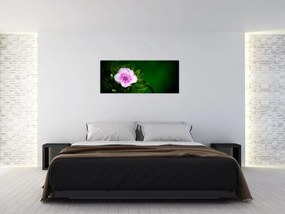 Tablou cu floare roz (120x50 cm)