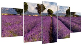 Tablou - lavanda câmp (150x70cm)