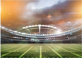 Tablou - Stadion (70x50 cm)