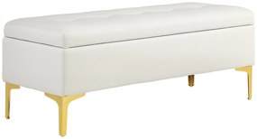 HOMCOM Bancă cu Spațiu de Depozitare, suportând până la 120kg, 120x44x44,5cm, Bej | Aosom Romania