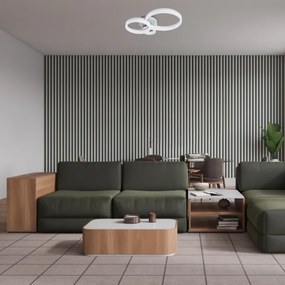 Rabalux 71382 - Plafonier LED reglabil ELLINOR LED/40W/230V 3000-6500K + telecomandă