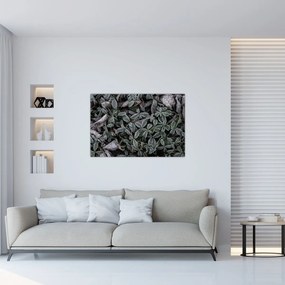 Tablou - Plante înghețate (90x60 cm)