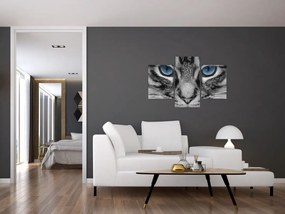 Tablou cu pisica (90x60 cm)