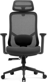 Scaun ergonomic premium Ally-H, spătar reglabil pe înălțime, șezut glisant, suport lombar 2D, tetieră 2D, cotiere 3D, reclinare 125°, Mesh + Textil, Negru