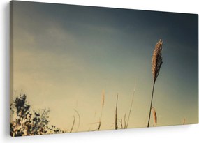 Tablou - Iarba (90x60 cm)