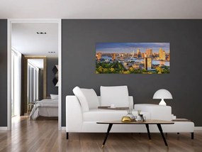 Tablou - Panorama Rotterdamului, Țările de Jos (120x50 cm)