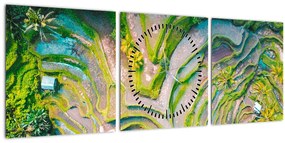 Tablou cu lanuri de orez din privire de sus (cu ceas) (90x30 cm)