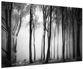 Tablou - Lup în pădurea întunecată (90x60 cm)