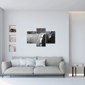 Tablou - Picior de elefant (90x60 cm)