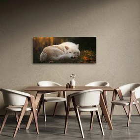 Tablou - Lupul care se odihnește (120x50 cm)