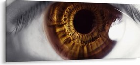 Tablou - Ochi (120x50 cm)