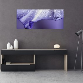 Tablou - Petală cu picături (120x50 cm)