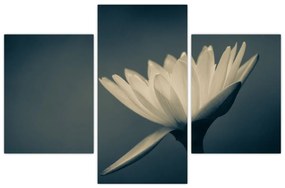 Tablou cu flori (90x60 cm)