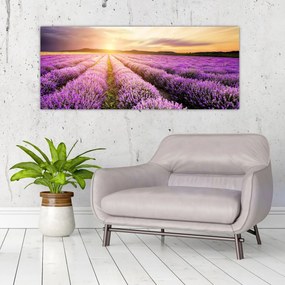 Tablou - Răsărit de soare în câmp de lavandă (120x50 cm)