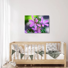 Tablou pe sticlă cu floarea detailat (70x50 cm)