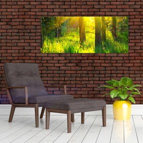 Tablou - Trezirea de primăvară a pădurii (120x50 cm)