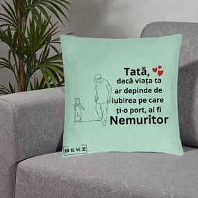 Cadou pentru Tata - Perna Personalizata Tata Nemuritor Joaca cu Mingea, 40x40 cm, Verde Menta, Husa Detasabila, Perna Inclusa, BEKZ®