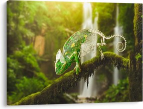 Tablou - cameleon (70x50 cm)