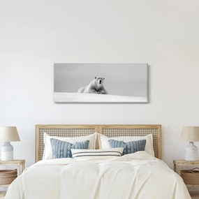 Tablou - Ursul polar (120x50 cm)