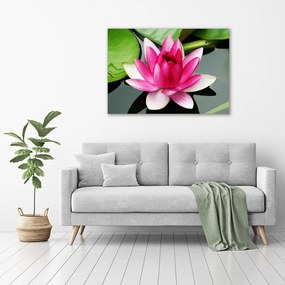 Tablou canvas Nufăr