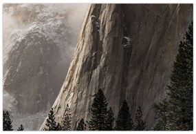 Tablou din valea Yosemite parcul național, SUA (90x60 cm)