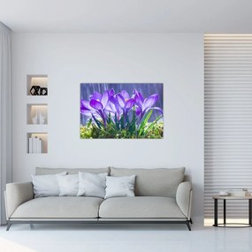Tablou cuflori în ploaie (90x60 cm)