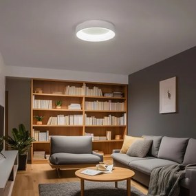 Plafonieră LED dimabilă FALCON LED/40W/230V 3000-6500K Brilagi + telecomandă