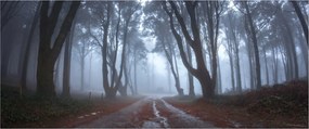 Tablou - Zi cu ploaie (120x50 cm)
