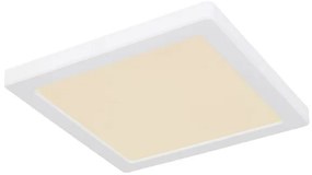 Plafonieră LED LASSE LED/18W/230V 3000/4000/6500K albă Globo 12380-18W