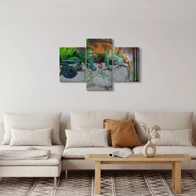 Tablou - Cameleon (90x60 cm)