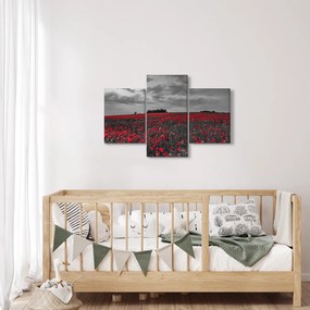 Tablou cu maci (90x60 cm)