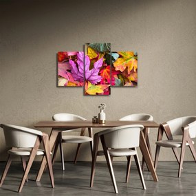 Tablou - frunze de toamnă (90x60 cm)