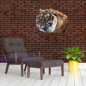 Tablou cu tigrul (70x50 cm)