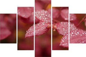 Tablou - Imagine macro a biletului (150x105 cm)