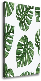Tablouri tipărite pe pânză Monstera