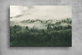 Tapet Premium Canvas - Padurea verde acoperita de ceata