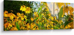 Tablou - Flori galbene (cu ceas) (90x30 cm)