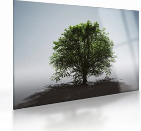 Tablou pe sticlă - Copacul singuratic (70x50 cm)